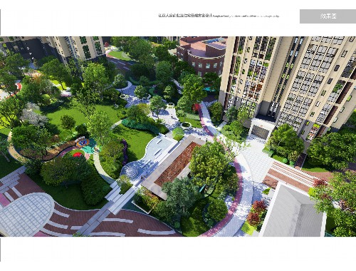 金年会金字招牌诚信至上：新西兰城市绿化