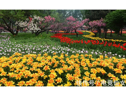 金年会金字招牌信誉至上：广汉园建园林绿化工程有限公司